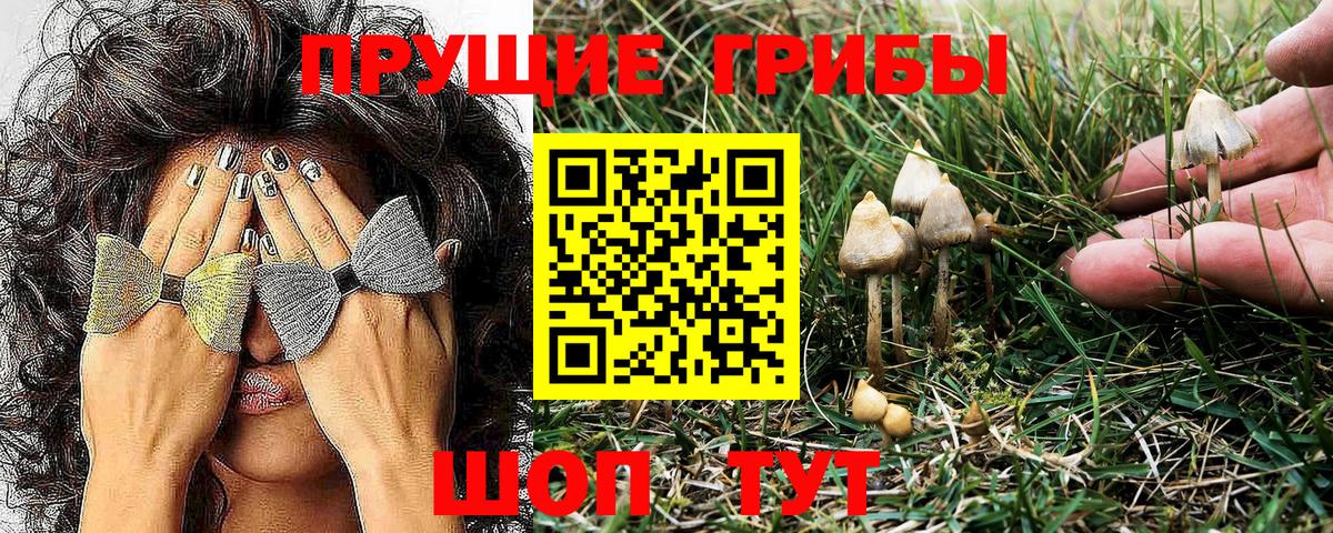 Галлюциногенные грибы GOLDEN TEACHER  Вход с VPN  Галлюциногенные грибы Cubensis  Камень-на-Оби 