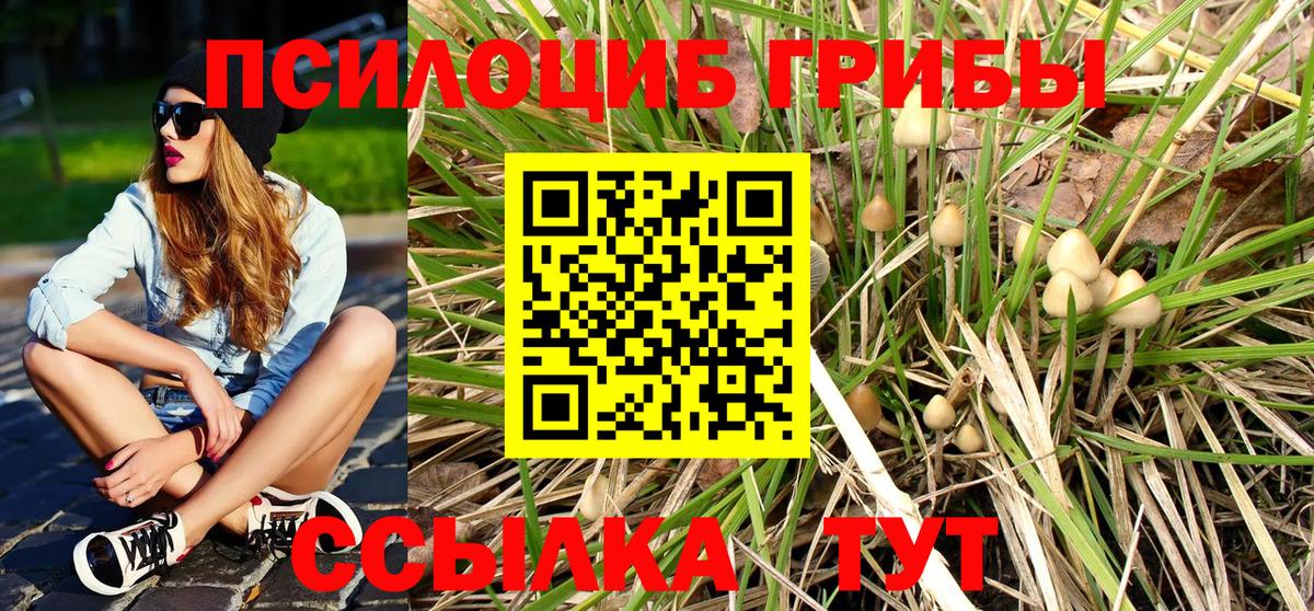 Псилоцибиновые грибы прущие грибы Камень-на-Оби